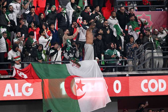 Lyon : des propos antisémites scandés par des supporters algériens, la  justice saisie