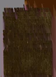 Medical botany [electronic resource]: containing systematic and general  descriptions, with plates of all the medicinal plants, i