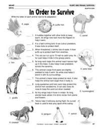 Our large collection of science worksheets are a great study tool for all ages. Results For Animal Adaptations Worksheet Guest The Mailbox Animal Adaptations Science Worksheets Animal Science