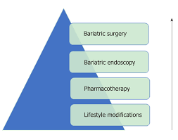 Image result for Obesity Management