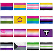 It combines the colors and stripes from philly's version of the pride flag and the colors of the. Rainbow Pride Flags 3x5 Lgbtqia Lgbt Bisexual Pansexual Asexual Aro Trans Queer Ebay