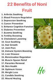 Xymos Noni Noni Fruit Fruit Health Noni