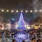 Lights up! Holiday Tree Lighting