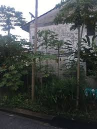 Kip hotel 3★ no 77 jalan seri utara 1, sri utara off jalan ipoh, kuala lumpur. Selepas Setahun Berlalu Cik Ponti Di Rumah Tinggal Mengekek Ganggu Pemuda Siap Ikut Ke Balkoni Viral Mstar