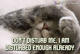To others i am missing, to myself i have merely been found.. Don T Disturb Me I Am Disturbed Enough Already