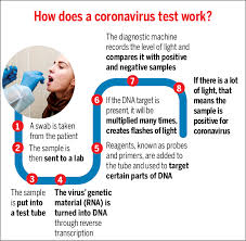 Here are the differences between them. Why Covid 19 Testing Has Been Slow To Take Off Times Of India