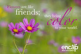 Flowers Are Like Friends They Bring Color To Your World Growencap Quotes Flowers Nature Quotes Flower Quotes Friends Are Like