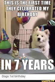 Pin By Emy Morrison On Funny Animals Happy Birthday Dog Meme Dog First Birthday Happy Birthday Dog