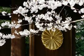 Check spelling or type a new query. é–å›½ç¥žç¤¾ã®æ¡œ å¹³æˆï¼'ï¼'å¹´