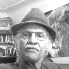 Typical song flight of Aquatic Warbler.-Singflug des Seggenrohrsängers.... 