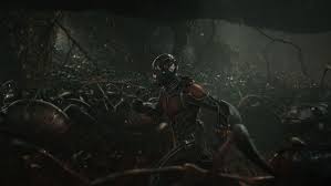 Birds Of Prey End Credits Scene You Won T Believe Where The Ant Man End Credits Scene Comes From With Images Ant Man Poster Ant Man Movie Ant Man 2015
