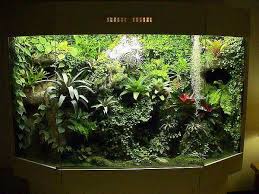 Pin On Gecko Terrarium Inspiration