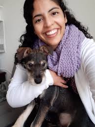 Hi everyone! I am moving from Peru to Southampton in September to study for  a PhD at the University of Southampton. I want to find a pet-friendly  studio, flat or room in