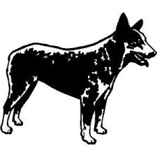 Black And White Blue Heeler Clipart Greg Grant Saddlery Sx400510dec 46 Blue Heeler
