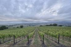 Chart House - Cakebread Cellars Wine Dinner