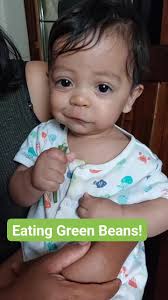 He tried the steamed green beans I harvested from our backyard! He seemed  to like it!, I did not cut up the beans since I have watched him eat and he  never just shove it in his mouth. He just bite ...