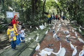 Di bawah 2 tahun tiket gratis, tapi di atas usia tersebut harga tiket masuk ke bird & bromelia pavilion bisa dibilang terjangkau dan tidak terlalu mahal. Menarik Kl Bird Park Tawar Promosi Tiket Masuk Serendah Rm6 Seorang Sehingga 31 Julai Libur