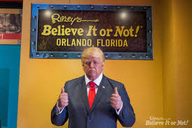 We did not find results for: First Life Sized Donald Trump Wax Figure Now On Display At Orlando Ripley S Believe It Or Not