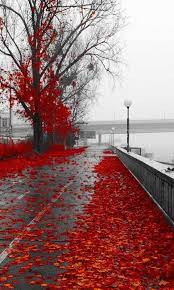 Pin By Michele Marshall On Color Splash Landscape Wallpaper Nature Photography Nature Images