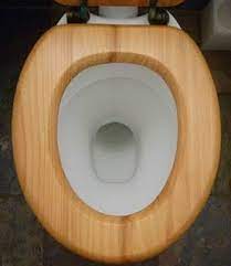 A Sparkling Clean Toilet Using No Toxic Chemicals Toilet Cleaning Sparkling Clean Diy Cleaning Products