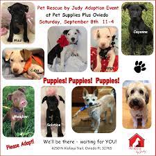 We provide special needs dog care, & save senior dogs with our saving seniors program. Events