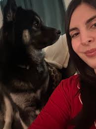 Best in slot set up for all bosses?