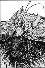 Image result for Craterostigma newtonii