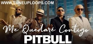 Pitbull Ne Yo Me Quedare Mp3 Ringtone Free Download Latest Pitbull Song Ringtone New Pitbull Rap Music Player For Android Music Players Pitbulls