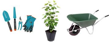 Rostige gartendeko für ihren garten. Gartenartikel Gunstig Online Kaufen Kaufland De