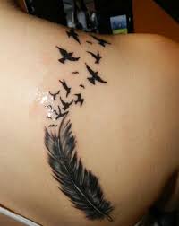Birds Of A Feather New Series 2019 Feather And Birds Feather With Birds Tattoo Bird Tattoo Ribs Birds Tattoo