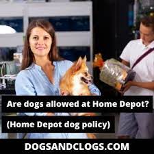 It's all about the pet policy regarding the apartment you want to rent. Are Dogs Allowed In Home Depot Home Depot Dog Policy