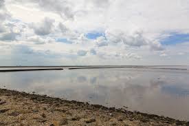 В 2009 году больше половины ваттового моря было занесено в список всемирного наследия. Vattovoe More Stichting Werelderfgoed Nederland