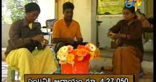 Etv Annadata Gerbera Cultivation In Poly House Gerbera Poly House