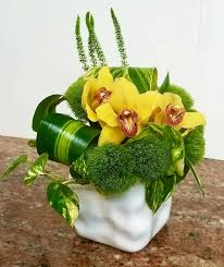 Chris hodges gogig fort lauderdale. Flowers Of Fort Lauderdale Discount Code How To Do Thing