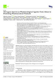 Image result for Mitragyna rubrostipulata