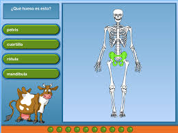 Paginas interactivas para preescolar : Juegos Interactivos De Ciencias Para Ninos Espaciociencia Com