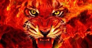 We did not find results for: 94 Gambar Harimau Api Keren Paling Bagus Gambar Pixabay