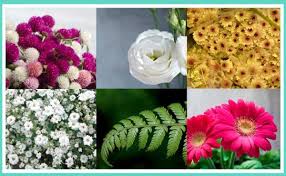Busca papel de seda de los colores más brillantes y vivos y aprende con nosotros a realizar estas preciosas flores. Decoracion Para Una Boda Sencilla 16 Ideas Y Tendencias 2021