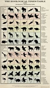 wondermark archive the zoological times table