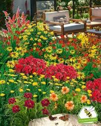 Mein Schoner Garten Gartenbeet Insektenweide 35 Pflanzen In 2020 Pflanzen Gartenbeet Balkonkasten Bepflanzen