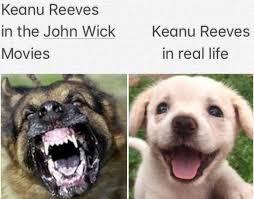 51 Keanu Reeves Memes That Are Simply Breathtaking Keanu Reeves Meme Keanu Reeves Funny Pictures
