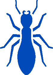 We can help you with any termite, pest or nuisance issues you may have. Atlantic Pest Control Baltimore Md Local Family Owned
