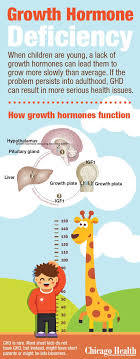 The Genetic Shortcomings Of Growth Hormone Deficiency Growth Hormone Hormones Nursing Kids Health