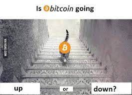 I do think people get bought into these manias who may not have as much money to spare, so i'm not bullish on. Is Bitcoin Going Up Or Down Imgur