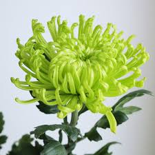 はなどんやアソシエ