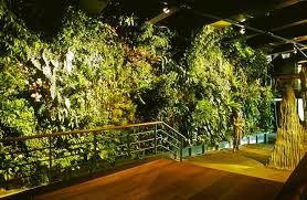 Genoa Aquarium Vertical Garden Patrick Blanc Vertical Garden Green Wall Vertical Farming