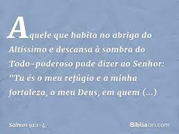Quien mora en el refugio del altísimo, vivirá a la sombra del todopoderoso. Salmo 91 1 4 Biblia