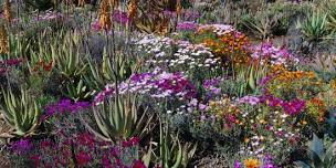 Master Gardener Plant Clinic at the San Mateo Arboretum