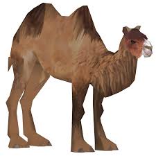 Fewer than 1,000 animals are left in the wild with a decreasing population. Wild Bactrian Camel Steenbok28 Zt2 Download Library Wiki Fandom
