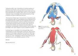 The Key Poses Of Yoga Scientific Keys Volume 2 Poses Yoga The Agonist